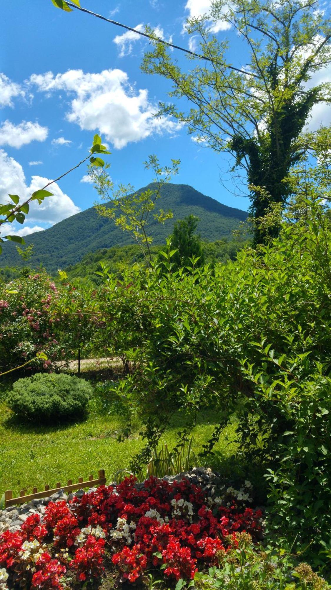 Fortuna Holiday Home Bihać Extérieur photo